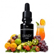 DANDY 54