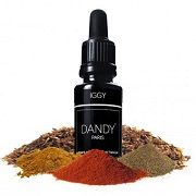 DANDY IGGY
